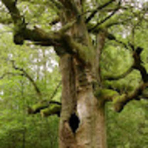 Meet your Posher, Skylar